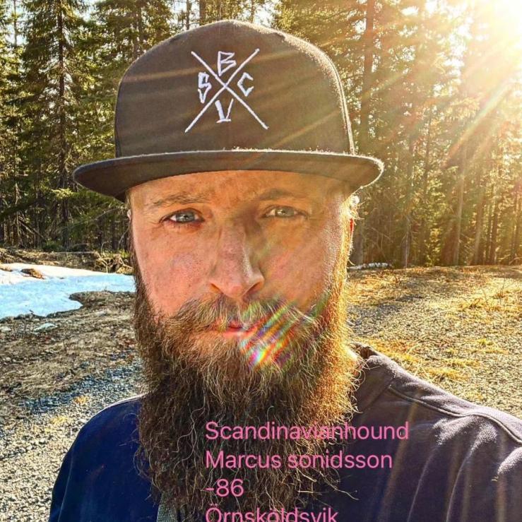 Scandinavianhound