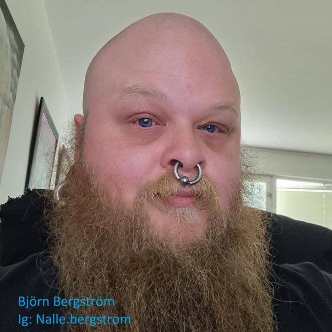 nalle.bergstrom